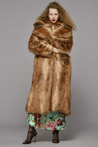 Roberto Cavalli Pre-Fall 2025 Collection