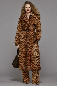 Roberto Cavalli Pre-Fall 2025 Collection