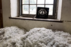 Wool fleeces at Winton, Tasmania. 