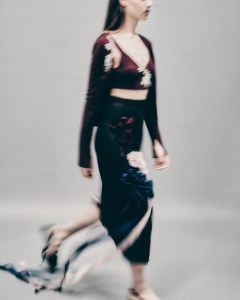 Erdem Pre-Fall 2025 Collection