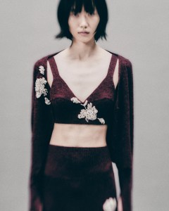 Erdem Pre-Fall 2025 Collection