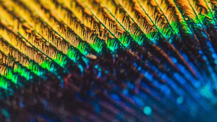 Cambridge-based materials start-up Sparxell has raised $5 million in pre-series A funding.