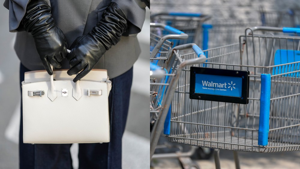 A model carrying an original Birkin bag and a shopping cart from Walmart.