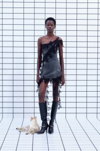 Blumarine Pre-Fall 2025 Collection