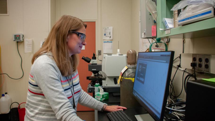NIST researcher Amanda Forster analyzes near-infrared spectroscopy data from textile and apparel samples.