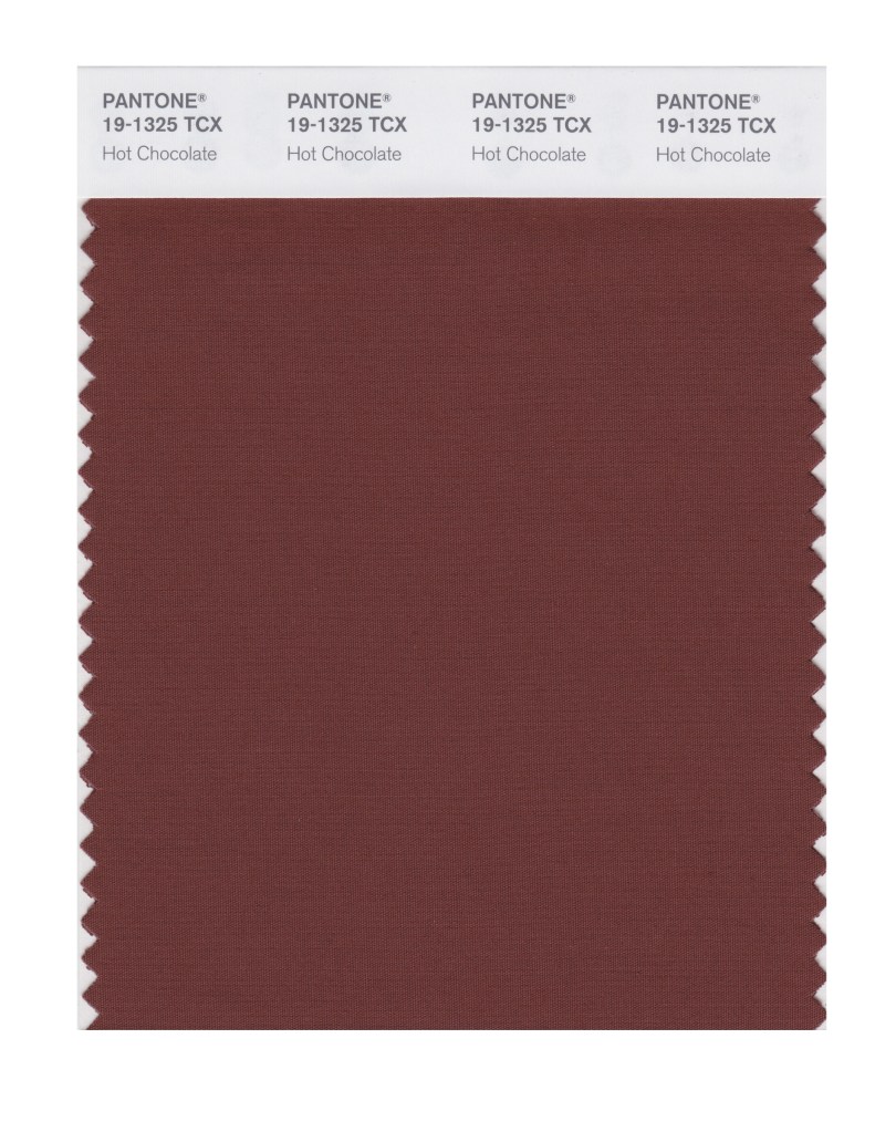 Hot Chocolate 19-1325