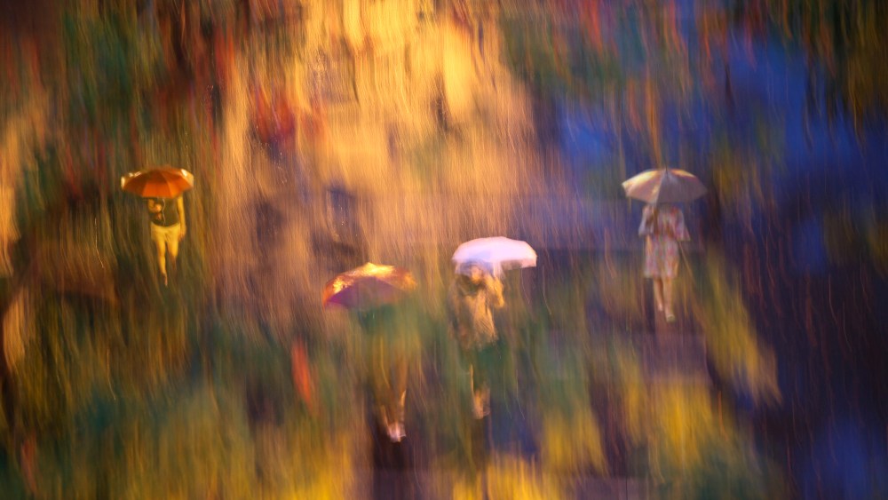 "A walk through the park in the rain." - Wes Gordon