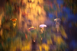 "A walk through the park in the rain." - Wes Gordon