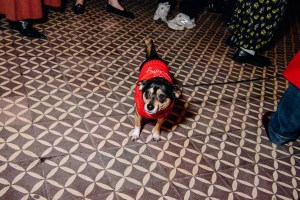 Backstage at the Lingua Franca Fall 2025 Ready-to-Wear show at New York fashion week.