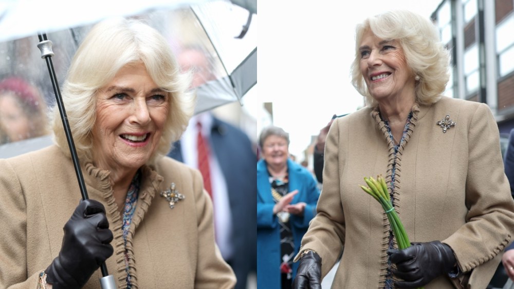 Queen Camilla, Canterbury, Anna Valentine, brooch