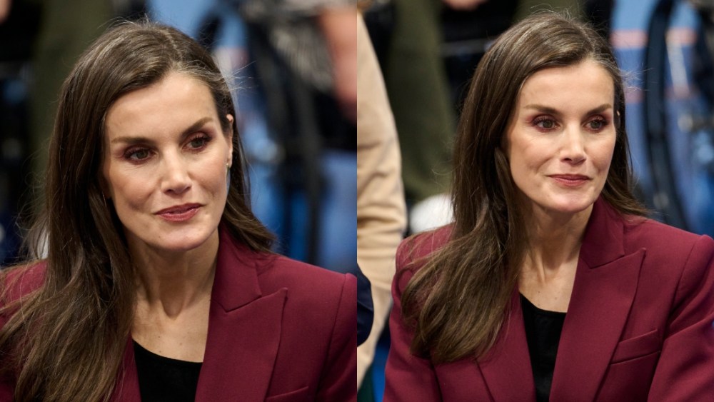 Queen Letizia, Bleis Madrid, Massimo Dutti, National Hospital of Paraplegics, Toledo, Spain