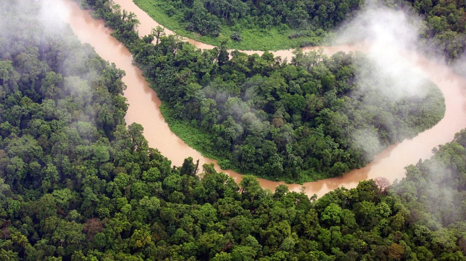 New Guinea,