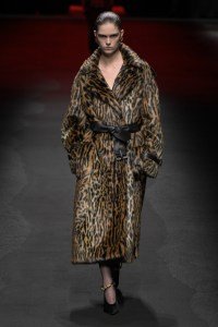 Roberto Cavalli Fall 2025 Ready-To-Wear Collection at Milan Fashion Week