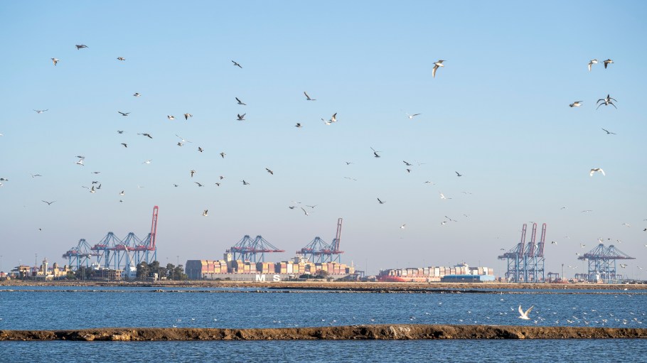 Genco's CEO said that if the proposed port fees take effect, the company may consider veering away from U.S. ports.