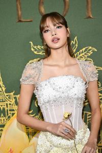 Lisa at "The White Lotus" Season 3 Los Angeles Premiere held at Paramount Studios on February 10, 2025 in Los Angeles, California.