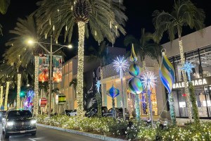 Best Neighborhood Installation: Rodeo Drive