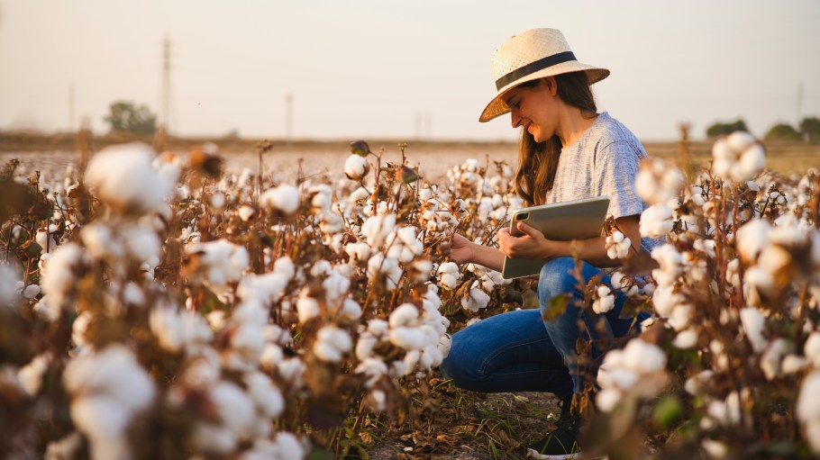 The U.S. Cotton Trust Protocol is among the organizations playing a key role in establishing a foundation for verifiable practices.
