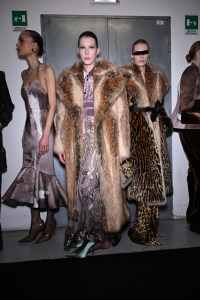 Roberto Cavalli Fall 2025 Ready-To-Wear Collection