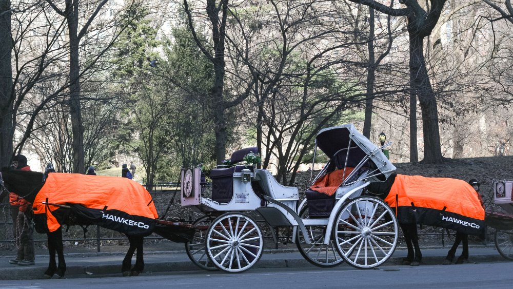 Hawke & Co. outfitted Central Park's famous carriage horses with blankets.