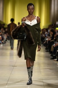 Miu Miu Fall 2025 Ready-To-Wear Collection at Paris Fashion Week