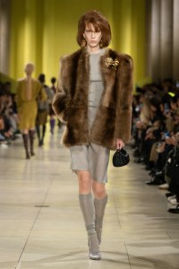 Miu Miu Fall 2025 Ready-To-Wear Collection at Paris Fashion Week