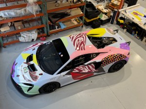 Mickalene Thomas for DART car