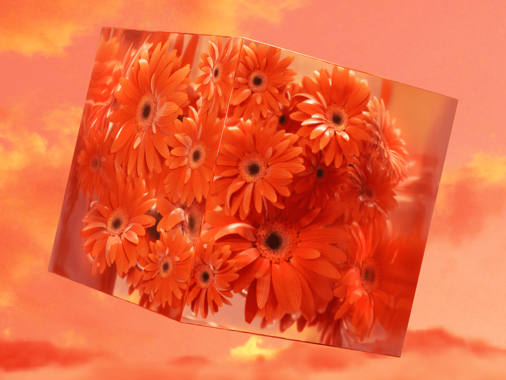 Energy Orange