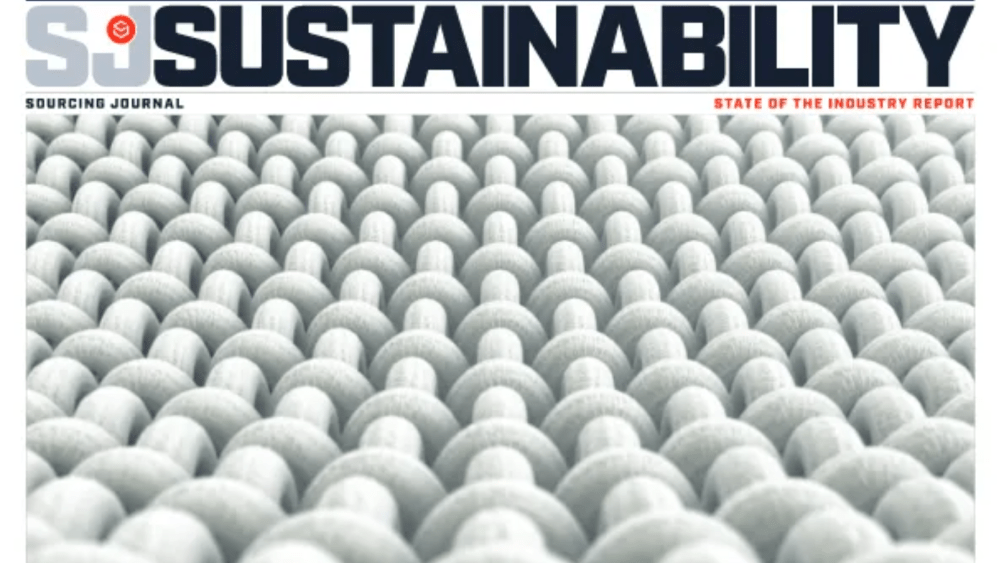Can Sustainability Survive? Insights from Industry Leaders & Experts