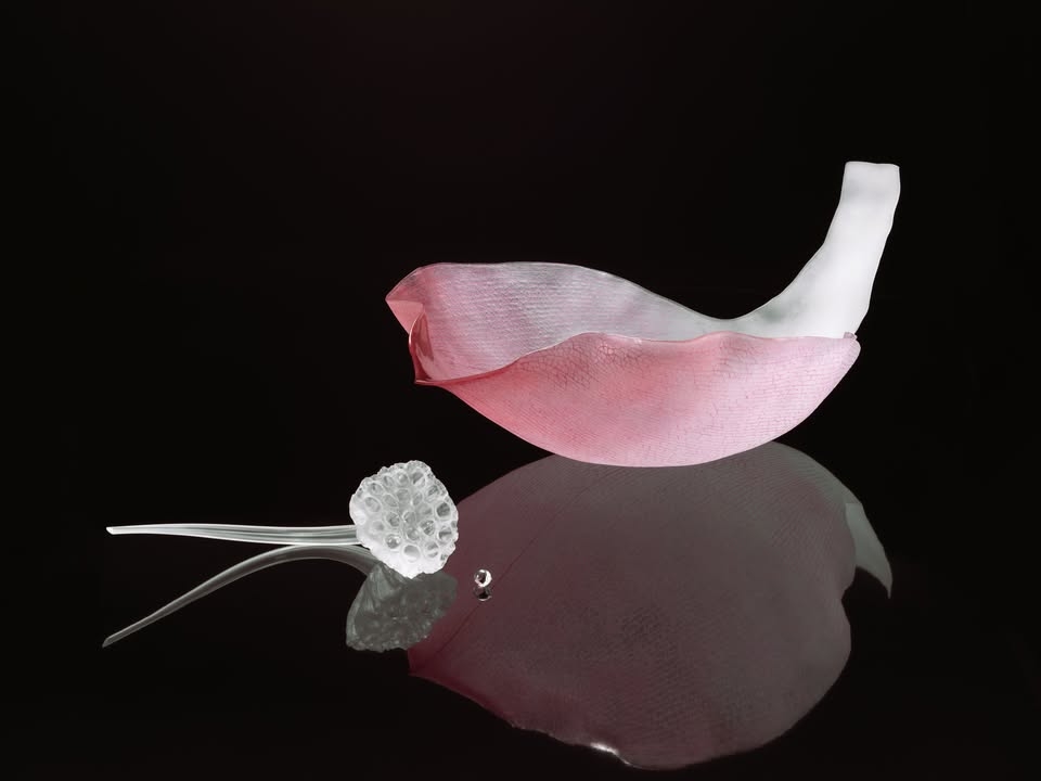 In the Hills of Kyoto, a Glassmaker’s Magical Forest