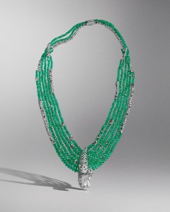 Panthère Dentelée