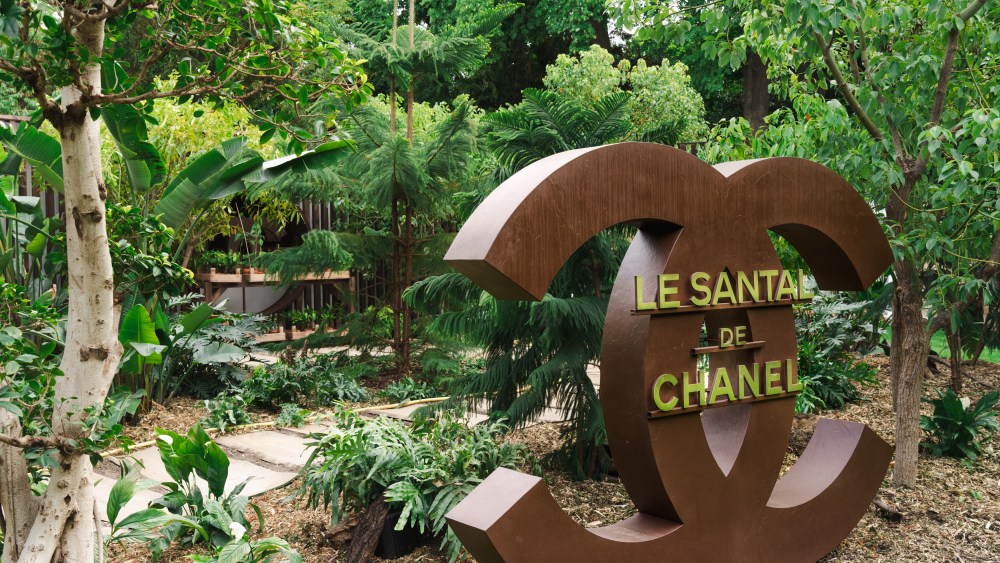 Chanel highlighted sandalwood at Jardins, Jardin in Paris this year.