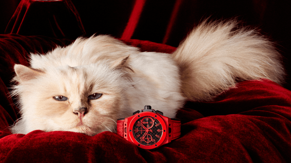 Choupette in a behind-the-scenes moment of Hublot's new campaign.