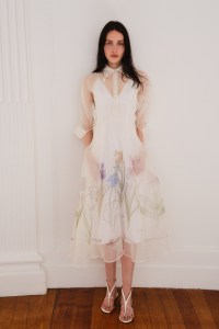 Alberta Ferretti Resort 2026 Collection
