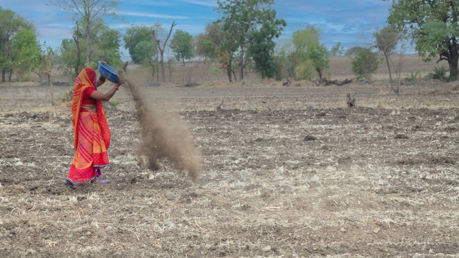 Regenerative program farmer preparing her farm during sowing season.