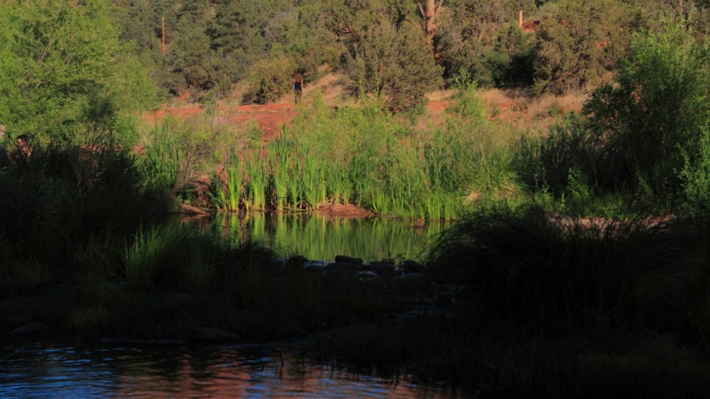 The view of Cathedral Rock and the reflection in the water in foreground from Red Rock Crossing in Sedona, Ariz.