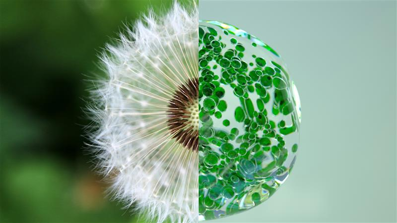 LOréal has revealed the first 13 companies to join its flagship sustainable innovation program, called L'AcceleratOR.