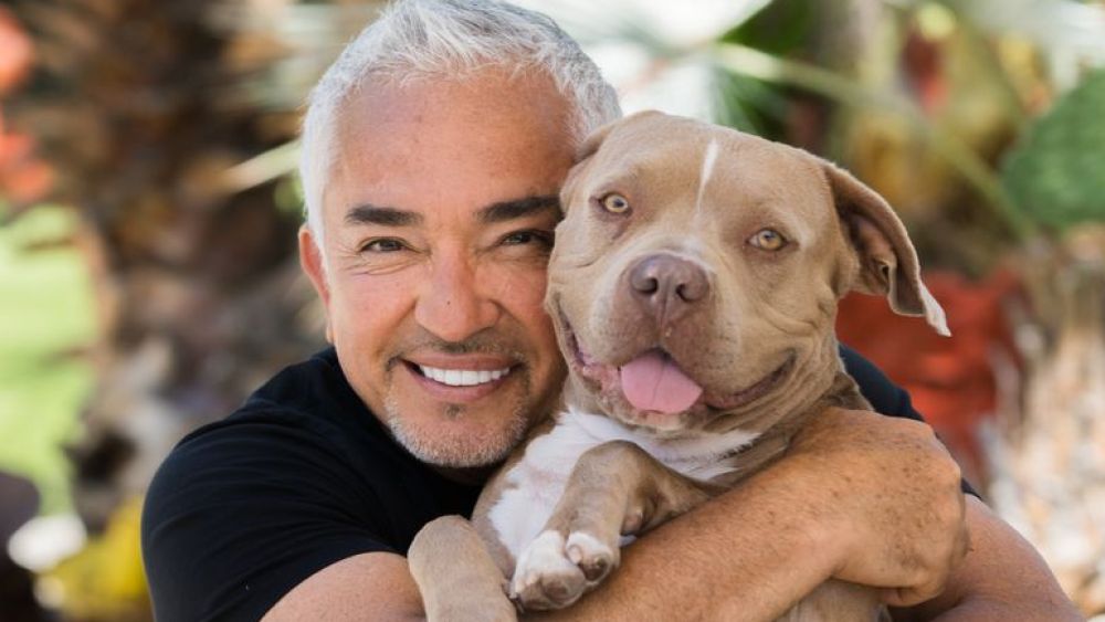 Cesar Millan