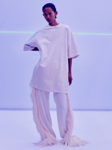 Phoebe Philo Collection D Spring 2026 Ready-to-Wear Collection