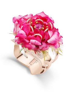 Piaget