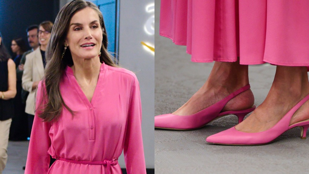 Queen Letizia wears pink slingback pumps at charity event in Spain