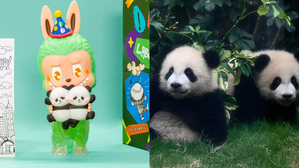 Labubu x Panda Twins, Ocean Park Hong Kong, Toys