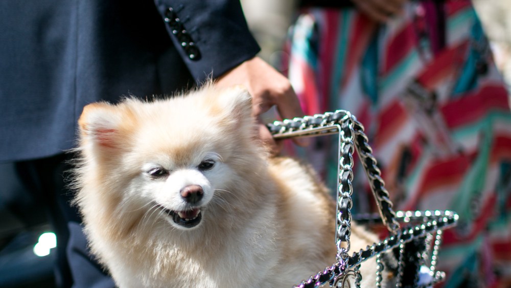 Best street style moments from recent Paris couture weeks.