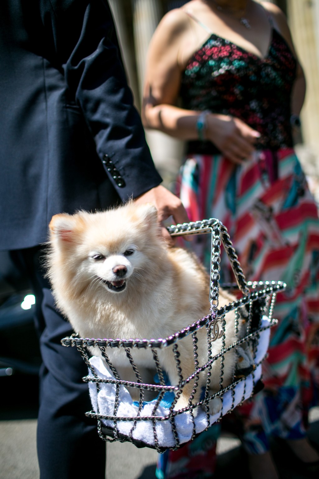 What’s in the Bag? See-through Handbags Could Be the ‘It’ Bag of Summer 2025