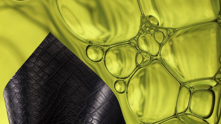 Alt. Leather was selected for funding from the Australian Government’s Industry Growth Program “in recognition of the importance of next-generation biomaterials to Australia’s clean tech future.”