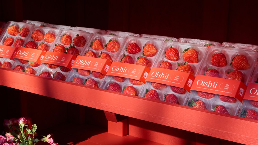 Oishii's bestselling Koyo berries, which retail for $9.99 per pack.