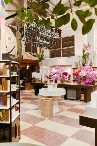 The apothecary