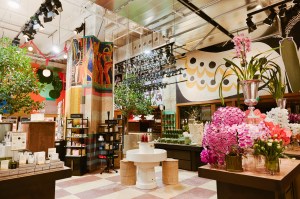 The apothecary