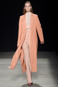 A model on the runway at Narciso Rodriguez fall 2015 show at SIR Stage37.