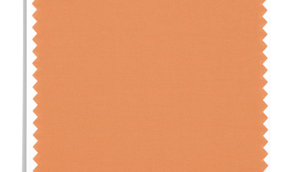 Pantone's Muskmelon 15-1242