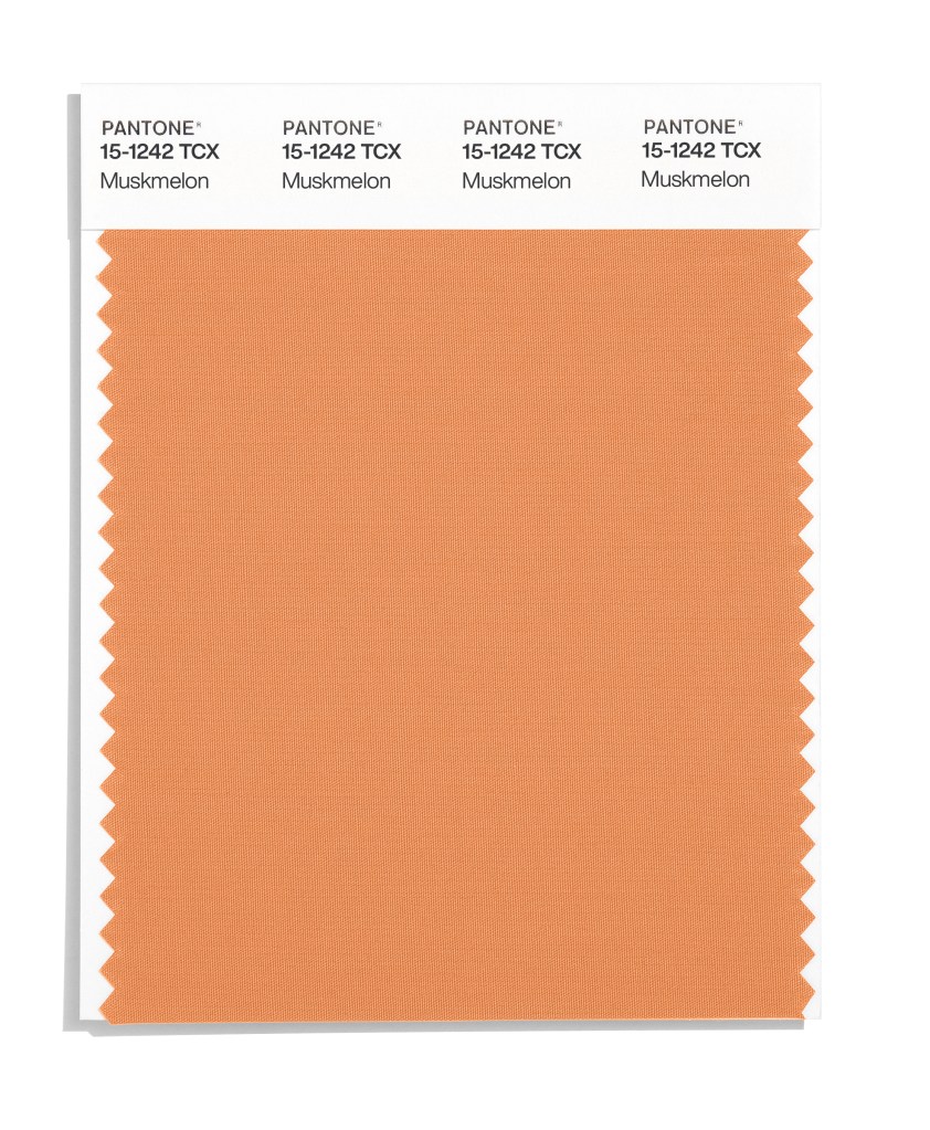 Pantone's Muskmelon 15-1242